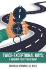Image for Twice exceptional boys  : a roadmap to getting it right