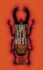 Image for The secret life of insects