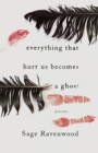 Image for Everything That Hurt Us Becomes a Ghost : Poems