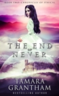 Image for End of Never