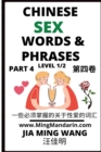 Image for Chinese Sex Words &amp; Phrases (Part 4)