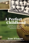 Image for A Perfect Childhood : Growing Up in the 1960s with Baseball, The Beatles, and Beaver Cleaver