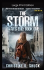Image for The Storm - Large Print Edition