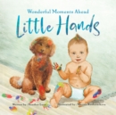 Image for Little Hands : Wonderful Moments Ahead