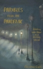 Image for Parables from the Pandemic