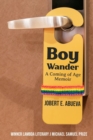 Image for Boy Wander
