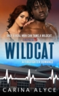 Image for Wildcat : A Steamy Firefighter Romance