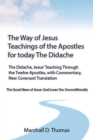 Image for The Way of Jesus - Teachings of the Apostles for today