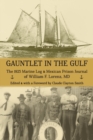 Image for Gauntlet in the Gulf