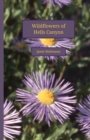 Image for Wildflowers of Hells Canyon