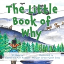 Image for The Little Book of Why