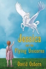 Image for Jessica and the Flying Unicorns