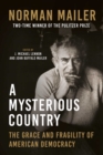 Image for A Mysterious Country : The Grace and Fragility of American Democracy