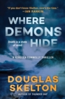 Image for Where Demons Hide: A Rebecca Connolly Thriller