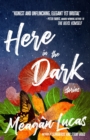 Image for Here in the Dark : Stories