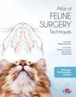 Image for Feline surgery