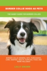 Image for Border Collie Dogs as Pets