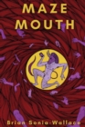 Image for Maze Mouth