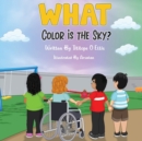 Image for What Color Is The Sky?
