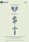 Image for SANATATEA, BOGA?IA ?I (ADEVARATA) EVANGHELIE (Health, Wealth, and the (Real) Gospel) (Romanian)