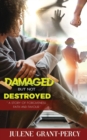 Image for Damaged But Not Destroyed : A Story of Forgiveness, Faith, and Favour
