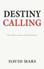 Image for Destiny Calling