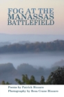 Image for Fog at the Manassas Battlefield