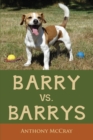 Image for Barry VS. Barrys