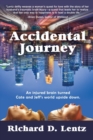 Image for Accidental Journey