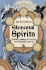 Image for Elemental Spirits : Building a Magical Practice in an Animistic World