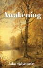 Image for Awakening : And Indian Summer of a Forstye