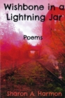 Image for Wishbone in a Lightning Jar : Poems