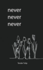 Image for Never Never Never