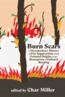 Image for Burn Scars