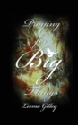 Image for Praying for Big Things : Using God&#39;s Word to Guide in Praying for the BIG Issues in Our World
