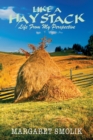 Image for Like a Haystack: Life from my Perspective