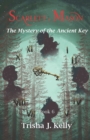 Image for The mystery of the ancient key