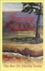 Image for Journey to Daybreak : Forty Days From Darkness to Light
