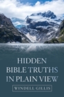 Image for Hidden Bible Truths in Plain View