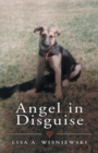 Image for Angel in Disguise