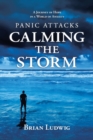 Image for Panic Attacks Calming the Storm
