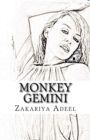 Image for Monkey Gemini