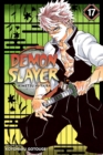 Image for Demon Slayer: Kimetsu no Yaiba, Vol. 17