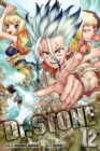 Image for Dr. STONE, Vol. 12