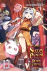 Image for Sleepy Princess in the Demon Castle, Vol. 13