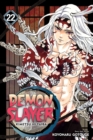 Image for Demon Slayer: Kimetsu no Yaiba, Vol. 22