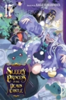 Image for Sleepy Princess in the Demon Castle, Vol. 17