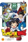 Image for Dragon Ball Super, Vol. 22