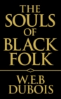 Image for Souls of Black Folk