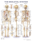 Image for The Skeletal System Anatomical Chart
